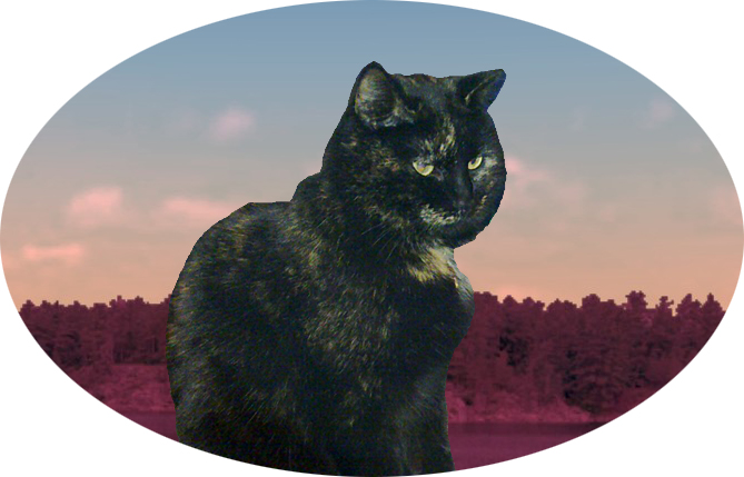 Mynta in the morning