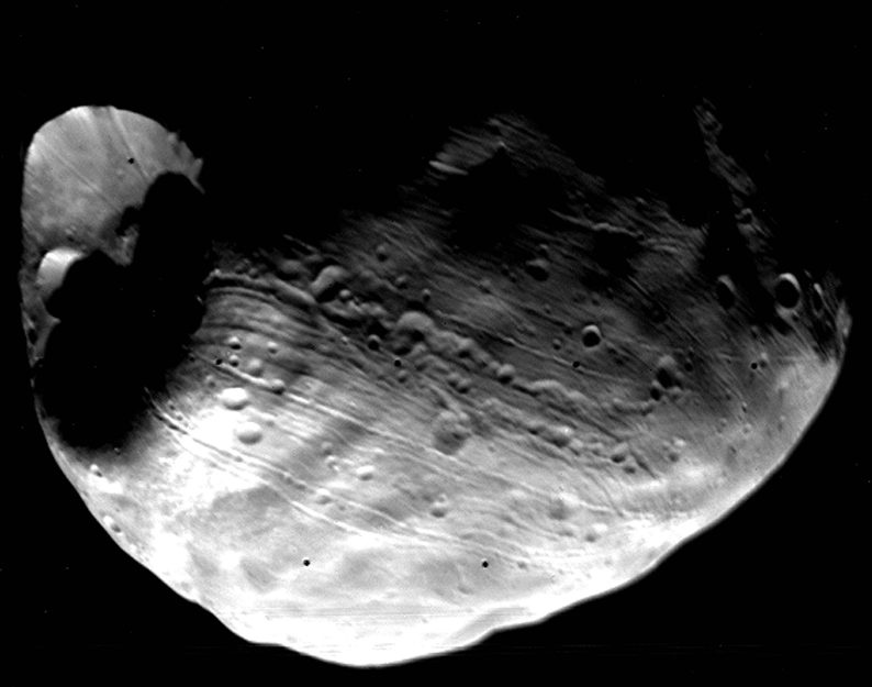 Viking 1 Orbiter global view of the Martian satellite Phobos_10 km diameter Stickney crater is at the left_public domain En svartvit närbild av månen Phobos, som visar en kraterfylld och oregelbunden yta med tydliga parallella fåror som sträcker sig över landskapet.